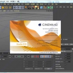 F1998 C4D R19 Mac