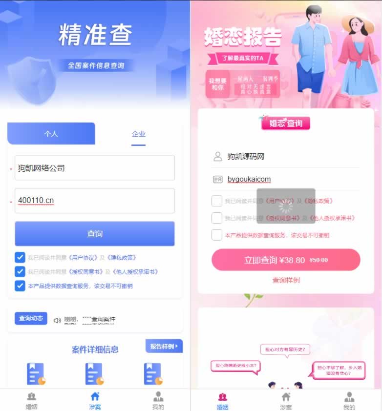 F1904 Q462-婚姻查询系统\个人企业案件涉诉案底查询系统网站源码