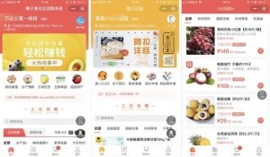 F452 A0041最新版微信狮子鱼社区团购小程序去后门独立开源版v14.3.0_带数据库_带前端